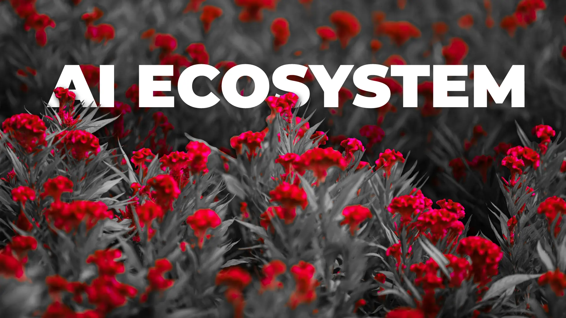 AI Ecosystem: A Flower Garden Analogy
